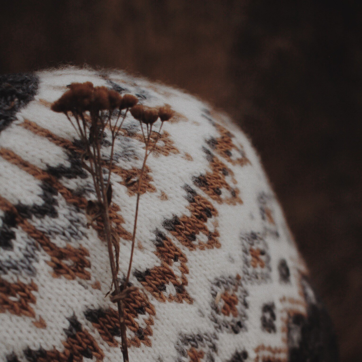 SQAM7891 - Edited.jpg