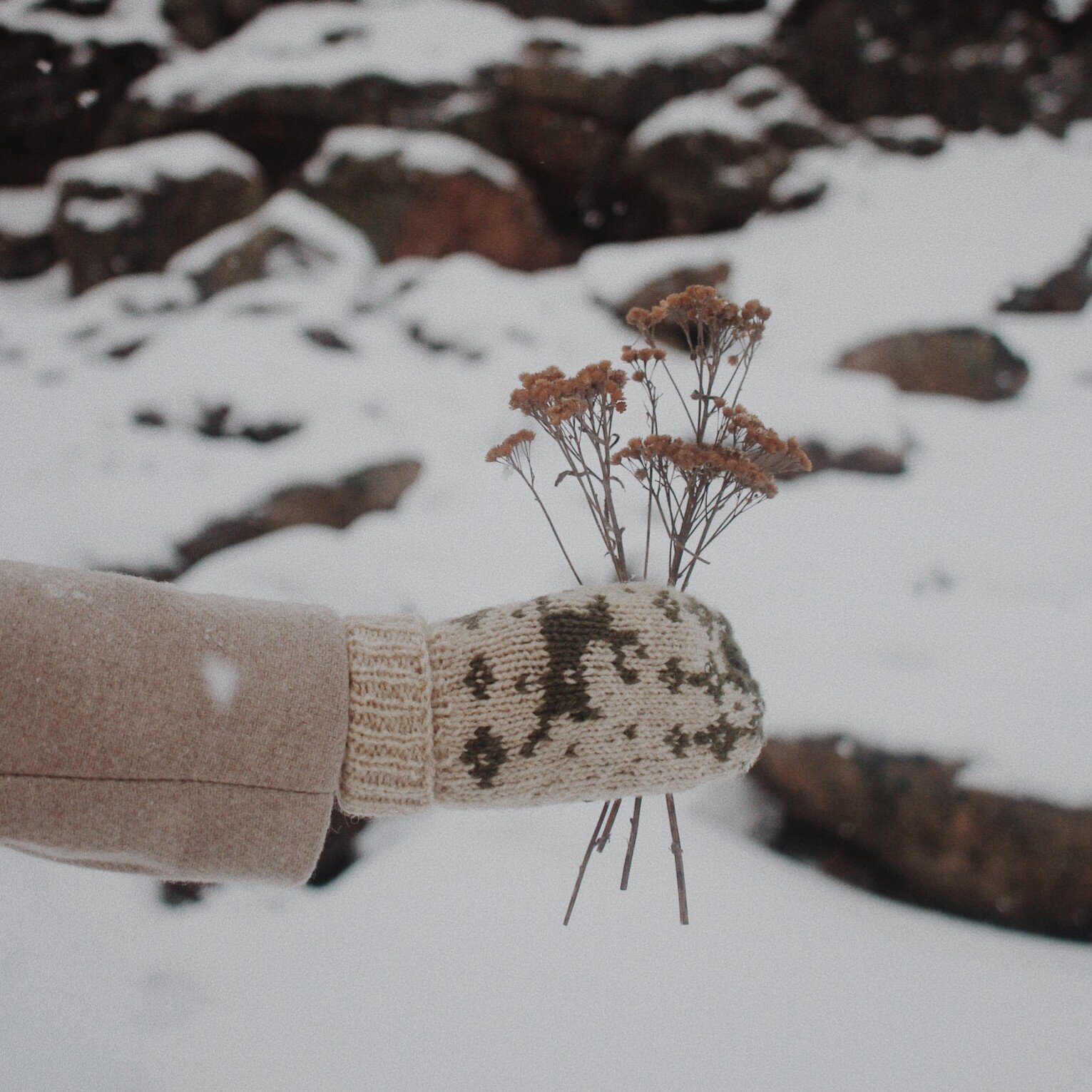 GXDU8623 - Edited.jpg